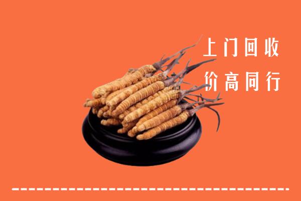 高价求购：包头固阳县回收散虫草