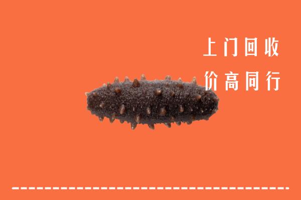 高价求购：包头固阳县回收海参