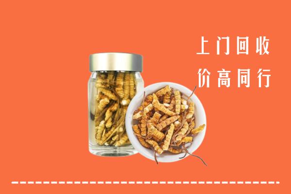 包头固阳县回收冬虫夏草