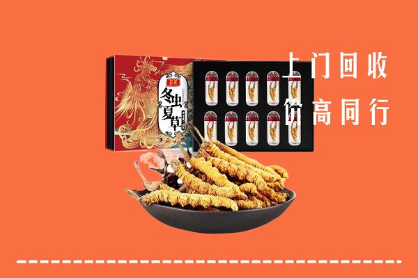 包头固阳县回收虫草